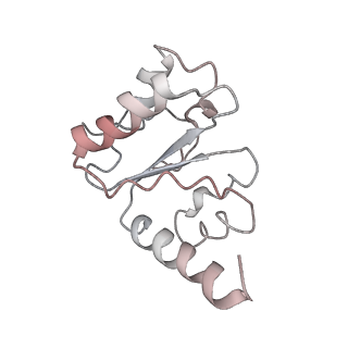 21624_6wd5_h_v1-3
Cryo-EM of elongating ribosome with EF-Tu*GTP elucidates tRNA proofreading (Cognate Structure II-C1)