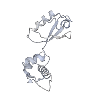 21624_6wd5_i_v1-3
Cryo-EM of elongating ribosome with EF-Tu*GTP elucidates tRNA proofreading (Cognate Structure II-C1)