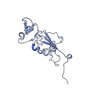 21624_6wd5_j_v1-2
Cryo-EM of elongating ribosome with EF-Tu*GTP elucidates tRNA proofreading (Cognate Structure II-C1)