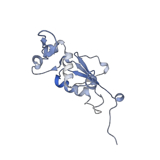 21624_6wd5_j_v1-3
Cryo-EM of elongating ribosome with EF-Tu*GTP elucidates tRNA proofreading (Cognate Structure II-C1)