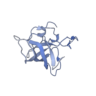 21624_6wd5_k_v1-2
Cryo-EM of elongating ribosome with EF-Tu*GTP elucidates tRNA proofreading (Cognate Structure II-C1)