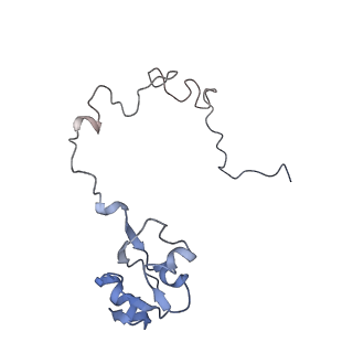 21624_6wd5_l_v1-2
Cryo-EM of elongating ribosome with EF-Tu*GTP elucidates tRNA proofreading (Cognate Structure II-C1)
