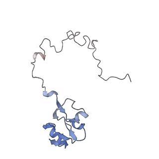 21624_6wd5_l_v1-3
Cryo-EM of elongating ribosome with EF-Tu*GTP elucidates tRNA proofreading (Cognate Structure II-C1)