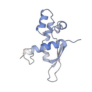 21624_6wd5_n_v1-2
Cryo-EM of elongating ribosome with EF-Tu*GTP elucidates tRNA proofreading (Cognate Structure II-C1)