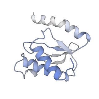 21624_6wd5_o_v1-2
Cryo-EM of elongating ribosome with EF-Tu*GTP elucidates tRNA proofreading (Cognate Structure II-C1)