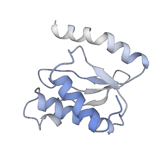 21624_6wd5_o_v1-3
Cryo-EM of elongating ribosome with EF-Tu*GTP elucidates tRNA proofreading (Cognate Structure II-C1)