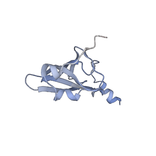 21624_6wd5_p_v1-2
Cryo-EM of elongating ribosome with EF-Tu*GTP elucidates tRNA proofreading (Cognate Structure II-C1)