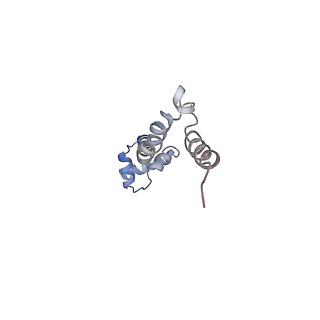 21624_6wd5_q_v1-3
Cryo-EM of elongating ribosome with EF-Tu*GTP elucidates tRNA proofreading (Cognate Structure II-C1)