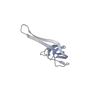 21624_6wd5_r_v1-2
Cryo-EM of elongating ribosome with EF-Tu*GTP elucidates tRNA proofreading (Cognate Structure II-C1)