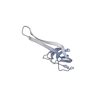 21624_6wd5_r_v1-3
Cryo-EM of elongating ribosome with EF-Tu*GTP elucidates tRNA proofreading (Cognate Structure II-C1)