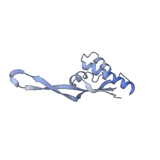 21624_6wd5_s_v1-3
Cryo-EM of elongating ribosome with EF-Tu*GTP elucidates tRNA proofreading (Cognate Structure II-C1)