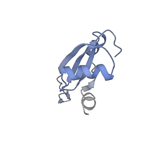 21624_6wd5_t_v1-2
Cryo-EM of elongating ribosome with EF-Tu*GTP elucidates tRNA proofreading (Cognate Structure II-C1)
