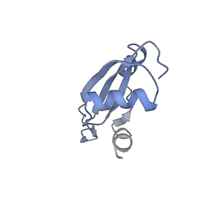 21624_6wd5_t_v1-3
Cryo-EM of elongating ribosome with EF-Tu*GTP elucidates tRNA proofreading (Cognate Structure II-C1)