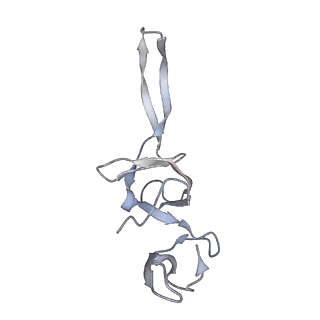 21624_6wd5_u_v1-2
Cryo-EM of elongating ribosome with EF-Tu*GTP elucidates tRNA proofreading (Cognate Structure II-C1)