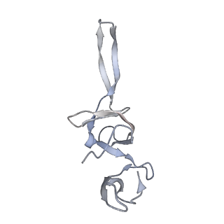 21624_6wd5_u_v1-3
Cryo-EM of elongating ribosome with EF-Tu*GTP elucidates tRNA proofreading (Cognate Structure II-C1)