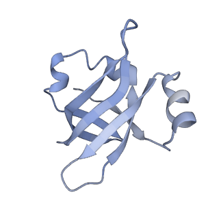 21624_6wd5_v_v1-2
Cryo-EM of elongating ribosome with EF-Tu*GTP elucidates tRNA proofreading (Cognate Structure II-C1)