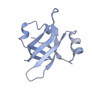 21624_6wd5_v_v1-3
Cryo-EM of elongating ribosome with EF-Tu*GTP elucidates tRNA proofreading (Cognate Structure II-C1)