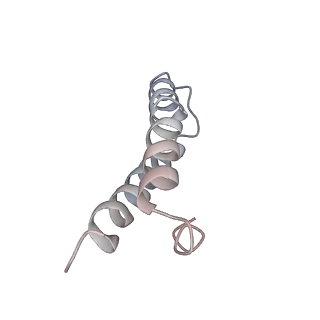 21624_6wd5_y_v1-2
Cryo-EM of elongating ribosome with EF-Tu*GTP elucidates tRNA proofreading (Cognate Structure II-C1)