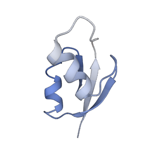 21624_6wd5_z_v1-2
Cryo-EM of elongating ribosome with EF-Tu*GTP elucidates tRNA proofreading (Cognate Structure II-C1)