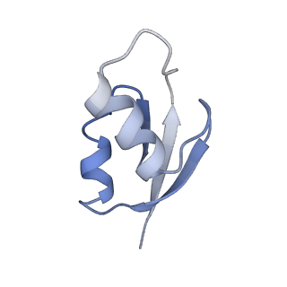 21624_6wd5_z_v1-3
Cryo-EM of elongating ribosome with EF-Tu*GTP elucidates tRNA proofreading (Cognate Structure II-C1)