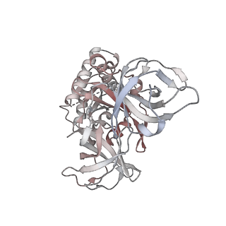 21625_6wd6_8_v1-2
Cryo-EM of elongating ribosome with EF-Tu*GTP elucidates tRNA proofreading (Cognate Structure II-C2)