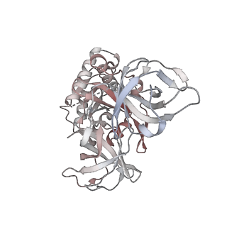 21625_6wd6_8_v1-3
Cryo-EM of elongating ribosome with EF-Tu*GTP elucidates tRNA proofreading (Cognate Structure II-C2)