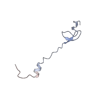 21625_6wd6_B_v1-3
Cryo-EM of elongating ribosome with EF-Tu*GTP elucidates tRNA proofreading (Cognate Structure II-C2)