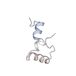 21625_6wd6_D_v1-2
Cryo-EM of elongating ribosome with EF-Tu*GTP elucidates tRNA proofreading (Cognate Structure II-C2)