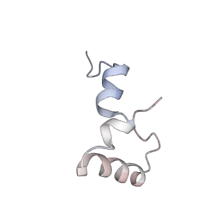 21625_6wd6_D_v1-3
Cryo-EM of elongating ribosome with EF-Tu*GTP elucidates tRNA proofreading (Cognate Structure II-C2)