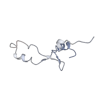 21625_6wd6_E_v1-2
Cryo-EM of elongating ribosome with EF-Tu*GTP elucidates tRNA proofreading (Cognate Structure II-C2)
