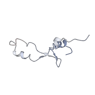 21625_6wd6_E_v1-3
Cryo-EM of elongating ribosome with EF-Tu*GTP elucidates tRNA proofreading (Cognate Structure II-C2)