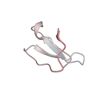 21625_6wd6_F_v1-3
Cryo-EM of elongating ribosome with EF-Tu*GTP elucidates tRNA proofreading (Cognate Structure II-C2)