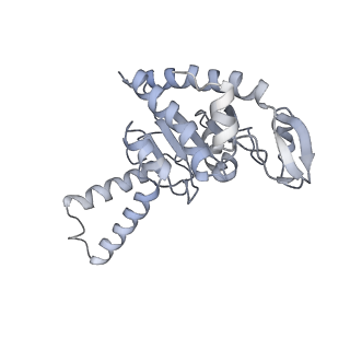 21625_6wd6_G_v1-2
Cryo-EM of elongating ribosome with EF-Tu*GTP elucidates tRNA proofreading (Cognate Structure II-C2)