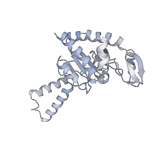 21625_6wd6_G_v1-3
Cryo-EM of elongating ribosome with EF-Tu*GTP elucidates tRNA proofreading (Cognate Structure II-C2)