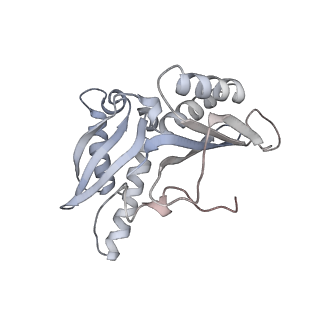 21625_6wd6_H_v1-2
Cryo-EM of elongating ribosome with EF-Tu*GTP elucidates tRNA proofreading (Cognate Structure II-C2)