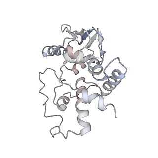 21625_6wd6_I_v1-2
Cryo-EM of elongating ribosome with EF-Tu*GTP elucidates tRNA proofreading (Cognate Structure II-C2)