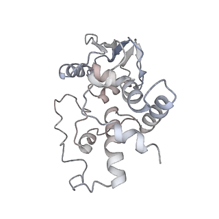 21625_6wd6_I_v1-3
Cryo-EM of elongating ribosome with EF-Tu*GTP elucidates tRNA proofreading (Cognate Structure II-C2)