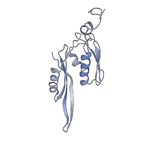 21625_6wd6_J_v1-2
Cryo-EM of elongating ribosome with EF-Tu*GTP elucidates tRNA proofreading (Cognate Structure II-C2)