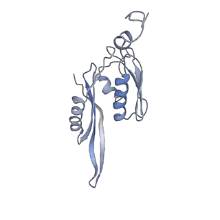 21625_6wd6_J_v1-3
Cryo-EM of elongating ribosome with EF-Tu*GTP elucidates tRNA proofreading (Cognate Structure II-C2)