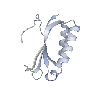 21625_6wd6_K_v1-2
Cryo-EM of elongating ribosome with EF-Tu*GTP elucidates tRNA proofreading (Cognate Structure II-C2)