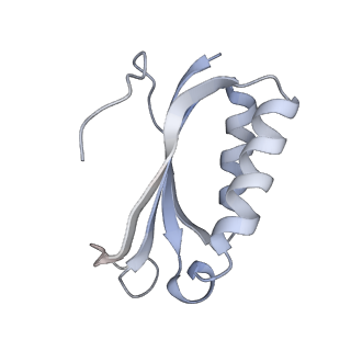 21625_6wd6_K_v1-3
Cryo-EM of elongating ribosome with EF-Tu*GTP elucidates tRNA proofreading (Cognate Structure II-C2)