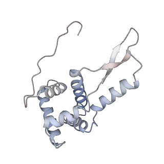 21625_6wd6_L_v1-2
Cryo-EM of elongating ribosome with EF-Tu*GTP elucidates tRNA proofreading (Cognate Structure II-C2)