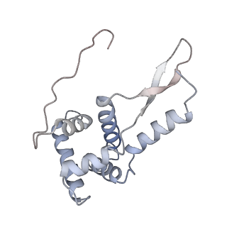 21625_6wd6_L_v1-3
Cryo-EM of elongating ribosome with EF-Tu*GTP elucidates tRNA proofreading (Cognate Structure II-C2)