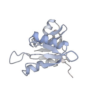 21625_6wd6_M_v1-2
Cryo-EM of elongating ribosome with EF-Tu*GTP elucidates tRNA proofreading (Cognate Structure II-C2)