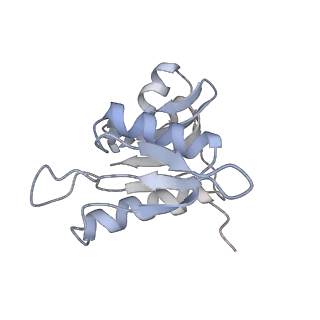 21625_6wd6_M_v1-3
Cryo-EM of elongating ribosome with EF-Tu*GTP elucidates tRNA proofreading (Cognate Structure II-C2)