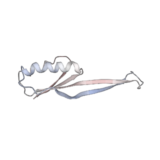 21625_6wd6_O_v1-3
Cryo-EM of elongating ribosome with EF-Tu*GTP elucidates tRNA proofreading (Cognate Structure II-C2)