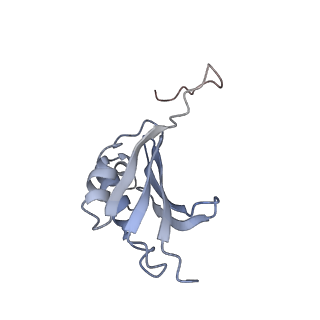 21625_6wd6_P_v1-3
Cryo-EM of elongating ribosome with EF-Tu*GTP elucidates tRNA proofreading (Cognate Structure II-C2)