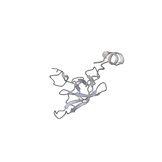 21625_6wd6_Q_v1-2
Cryo-EM of elongating ribosome with EF-Tu*GTP elucidates tRNA proofreading (Cognate Structure II-C2)
