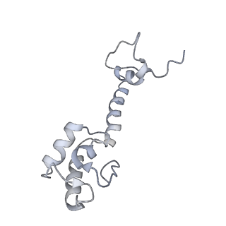 21625_6wd6_R_v1-2
Cryo-EM of elongating ribosome with EF-Tu*GTP elucidates tRNA proofreading (Cognate Structure II-C2)