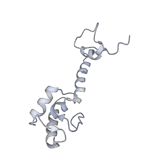 21625_6wd6_R_v1-3
Cryo-EM of elongating ribosome with EF-Tu*GTP elucidates tRNA proofreading (Cognate Structure II-C2)